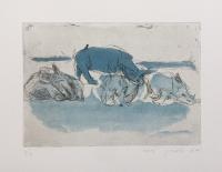Rhinoceros