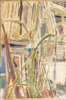 Lemongrass and Paintings