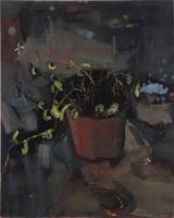 Roquette 