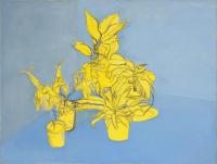 Yelow  and Sky Blue