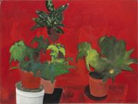 Flowerpots on Red Background